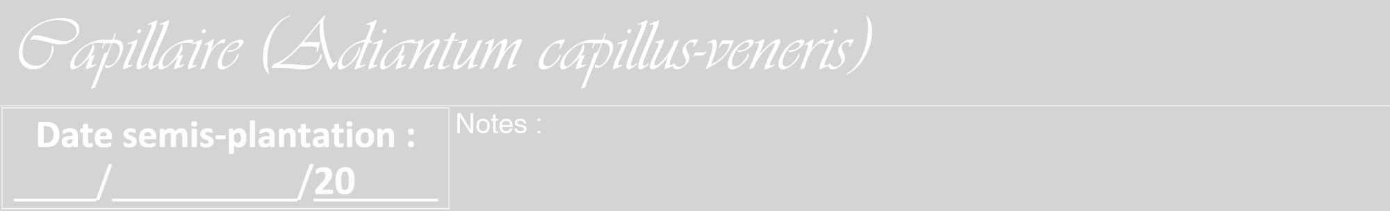 Étiquette de : Adiantum capillus-veneris - format a - style blanche40viv avec comestibilité