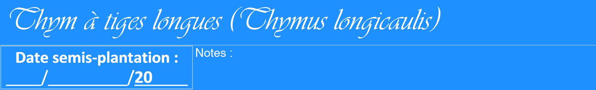 Étiquette de : Thymus longicaulis - format a - style blanche3viv avec comestibilité