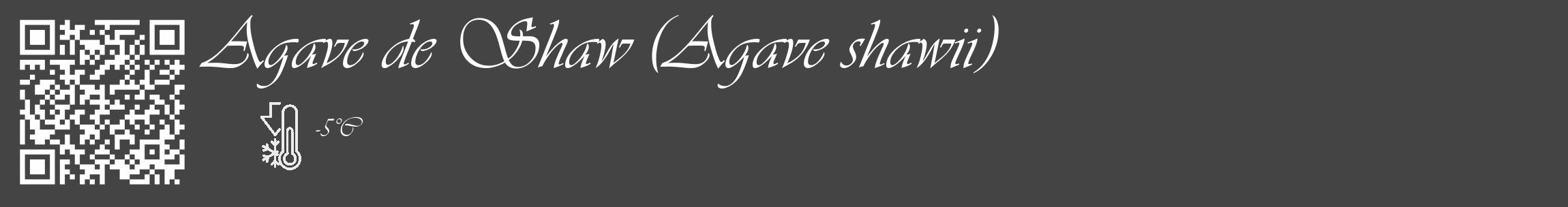 Étiquette de : Agave shawii - format c - style blanche48_basique_basiqueviv avec qrcode et comestibilité