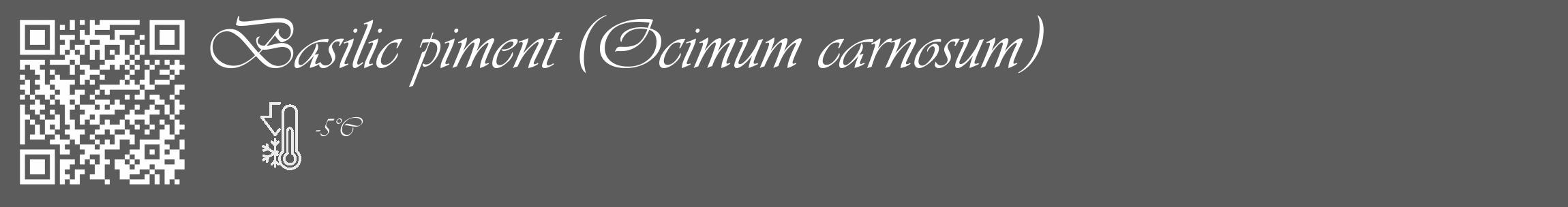 Étiquette de : Ocimum carnosum - format c - style blanche49_basique_basiqueviv avec qrcode et comestibilité