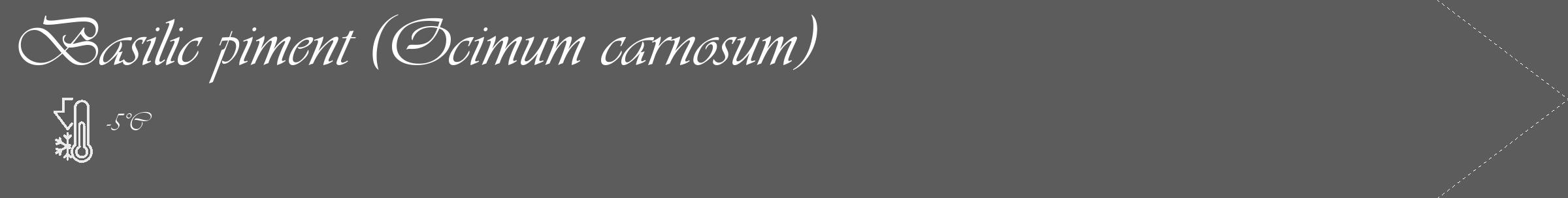 Étiquette de : Ocimum carnosum - format c - style blanche49_simple_simpleviv avec comestibilité