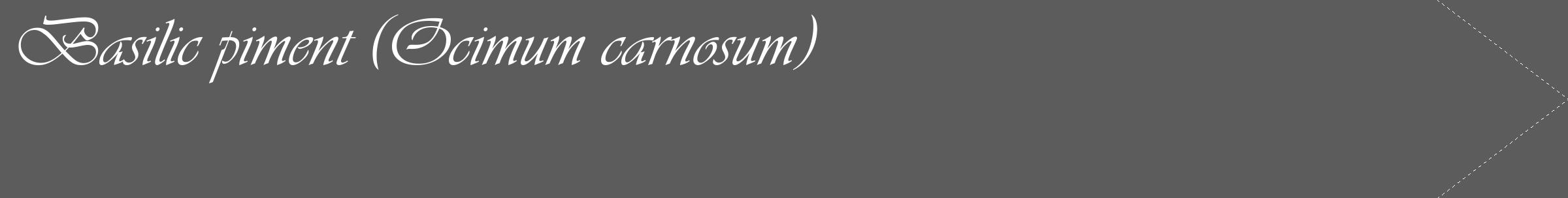 Étiquette de : Ocimum carnosum - format c - style blanche49_simple_simpleviv avec comestibilité