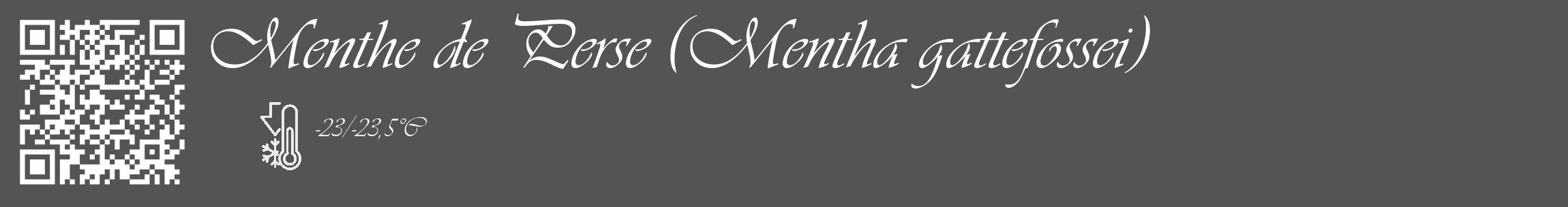 Étiquette de : Mentha gattefossei - format c - style blanche36_basique_basiqueviv avec qrcode et comestibilité