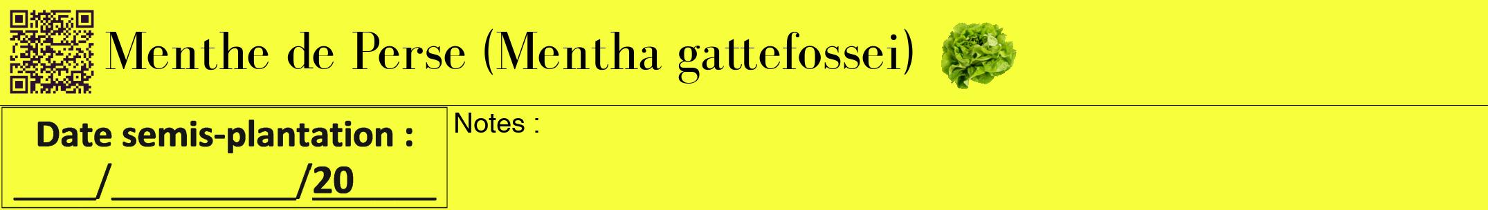 Étiquette de : Mentha gattefossei - format a - style noire18bod avec qrcode et comestibilité simplifiée