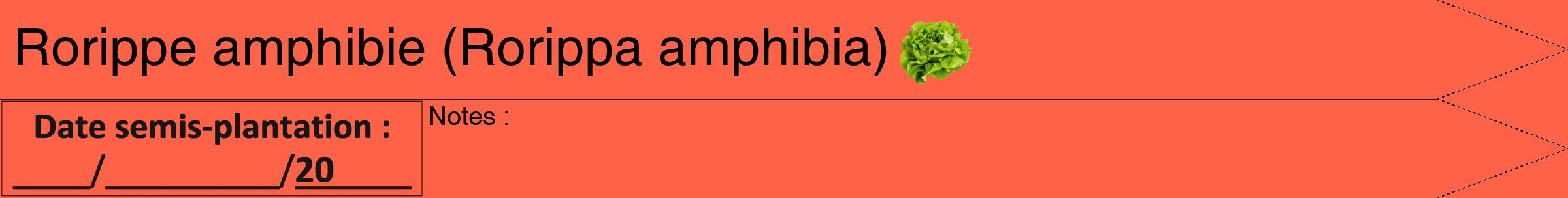 Étiquette de : Rorippa amphibia - format b - style noire25hel avec comestibilité simplifiée