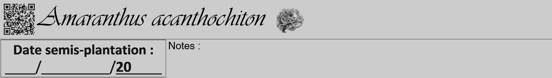 Étiquette de : Amaranthus acanthochiton - format a - style noire0viv avec qrcode et comestibilité simplifiée