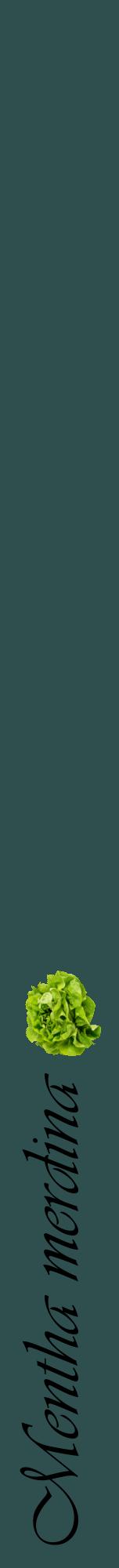 Étiquette de : Mentha merdina - format a - style noire58viv avec comestibilité simplifiée