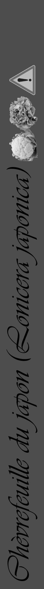 Étiquette de : Lonicera japonica - format a - style noire28viv avec comestibilité simplifiée - position verticale