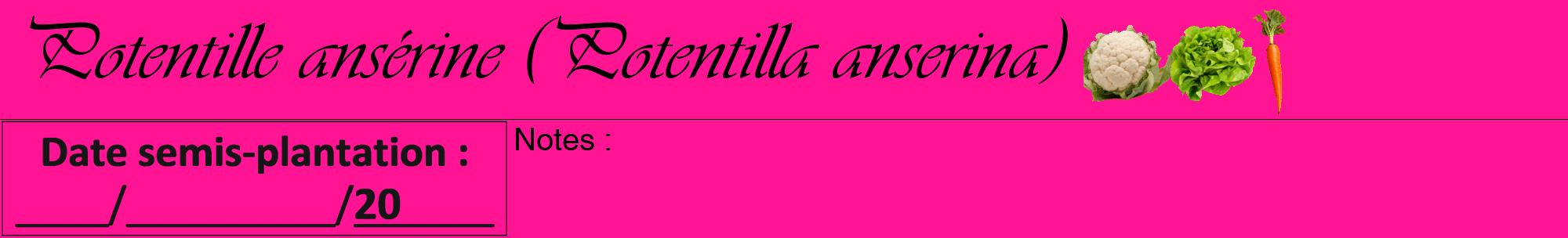Étiquette de : Potentilla anserina - format a - style noire43viv avec comestibilité simplifiée