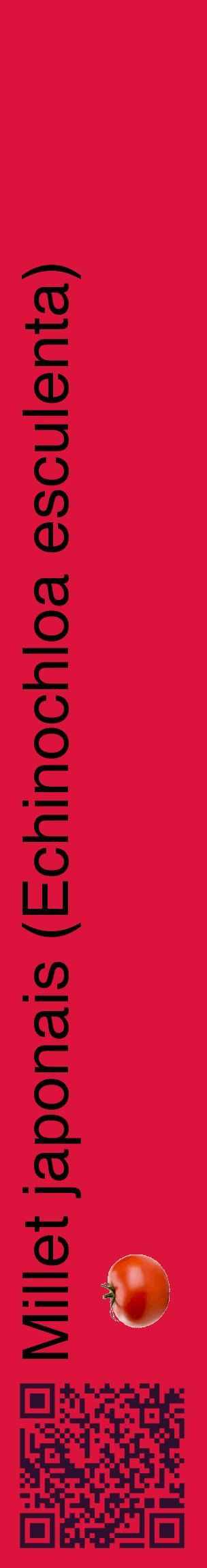 Étiquette de : Echinochloa esculenta - format c - style noire36_basiquehel avec qrcode et comestibilité simplifiée