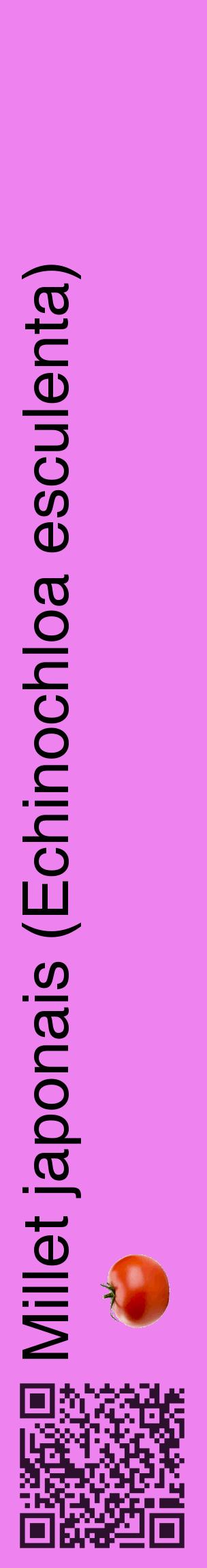 Étiquette de : Echinochloa esculenta - format c - style noire53_basiquehel avec qrcode et comestibilité simplifiée