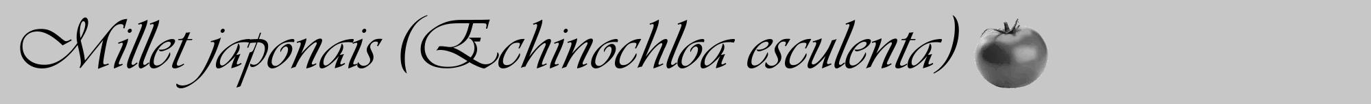 Étiquette de : Echinochloa esculenta - format a - style noire15viv avec comestibilité simplifiée