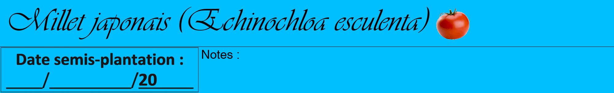 Étiquette de : Echinochloa esculenta - format a - style noire2viv avec comestibilité simplifiée