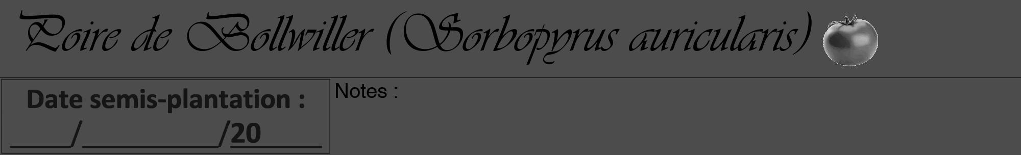Étiquette de : Sorbopyrus auricularis - format a - style noire27viv avec comestibilité simplifiée