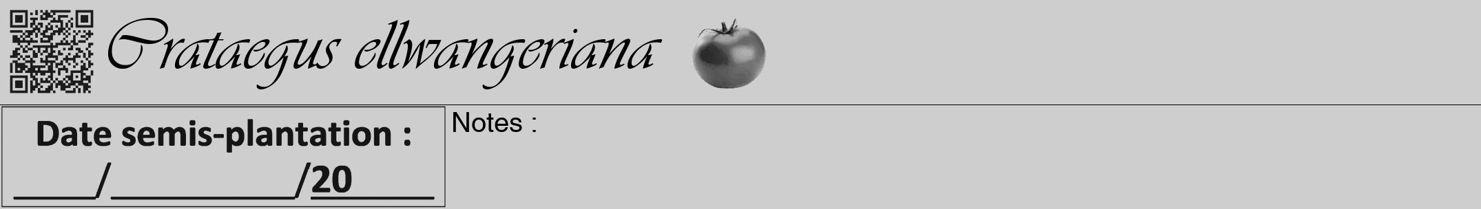 Étiquette de : Crataegus ellwangeriana - format a - style noire17viv avec qrcode et comestibilité simplifiée