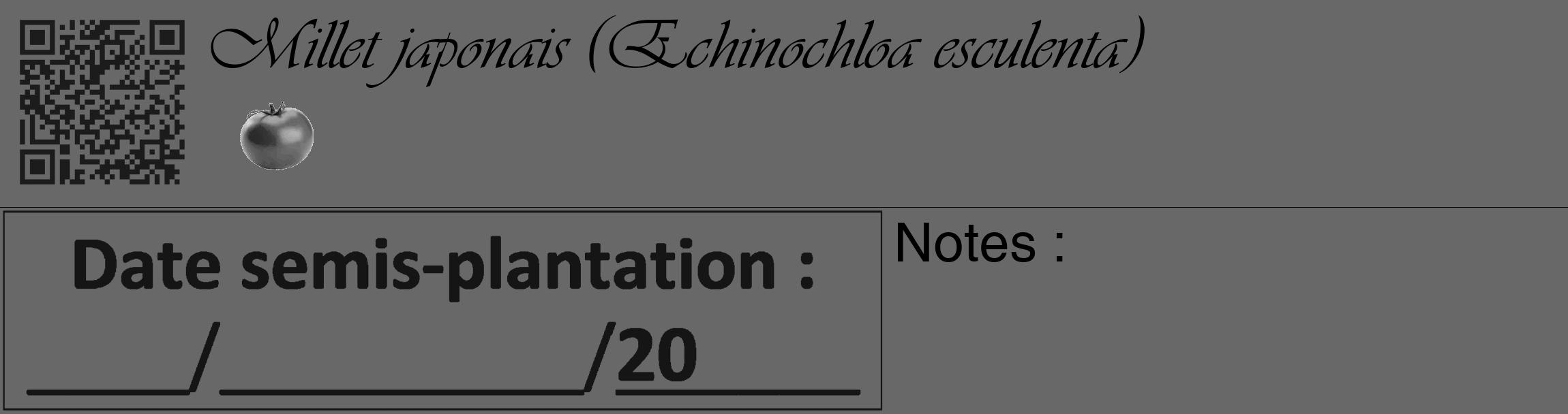 Étiquette de : Echinochloa esculenta - format c - style noire43_basique_basiqueviv avec qrcode et comestibilité simplifiée