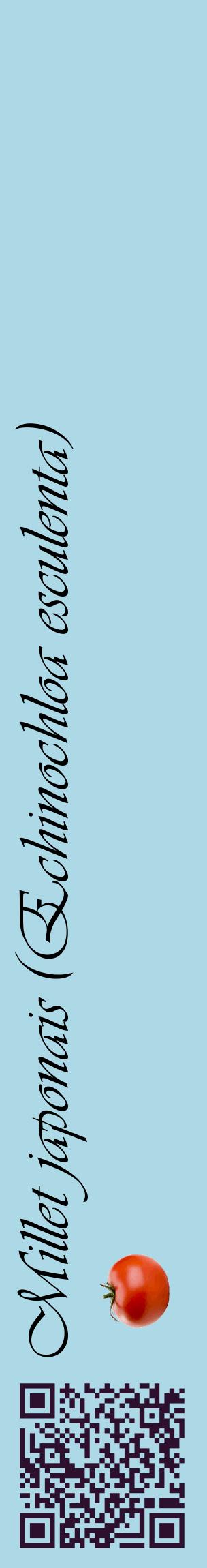 Étiquette de : Echinochloa esculenta - format c - style noire0_basiqueviv avec qrcode et comestibilité simplifiée
