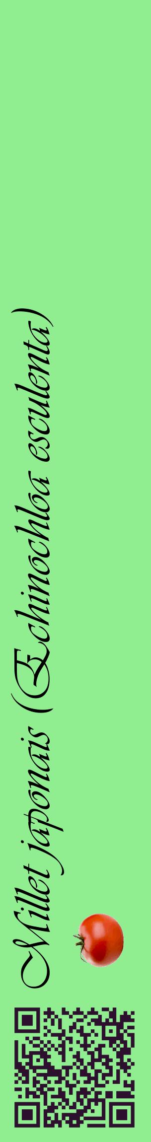 Étiquette de : Echinochloa esculenta - format c - style noire15_basiqueviv avec qrcode et comestibilité simplifiée