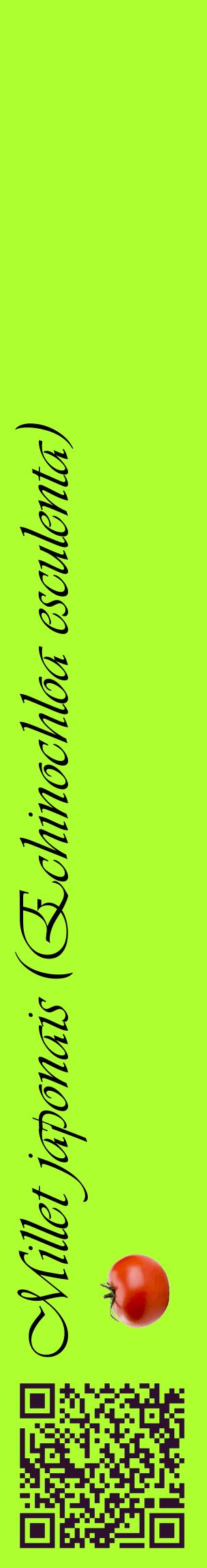 Étiquette de : Echinochloa esculenta - format c - style noire17_basiqueviv avec qrcode et comestibilité simplifiée
