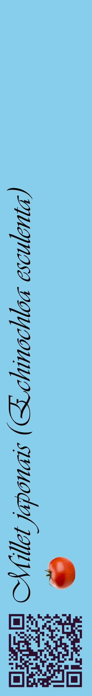 Étiquette de : Echinochloa esculenta - format c - style noire1_basiqueviv avec qrcode et comestibilité simplifiée
