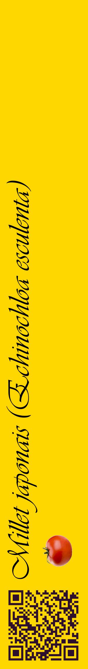 Étiquette de : Echinochloa esculenta - format c - style noire21_basiqueviv avec qrcode et comestibilité simplifiée