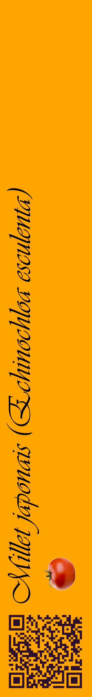 Étiquette de : Echinochloa esculenta - format c - style noire22_basiqueviv avec qrcode et comestibilité simplifiée