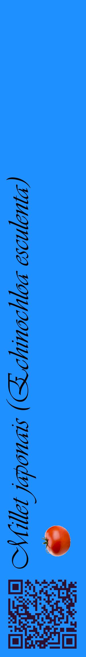 Étiquette de : Echinochloa esculenta - format c - style noire3_basiqueviv avec qrcode et comestibilité simplifiée