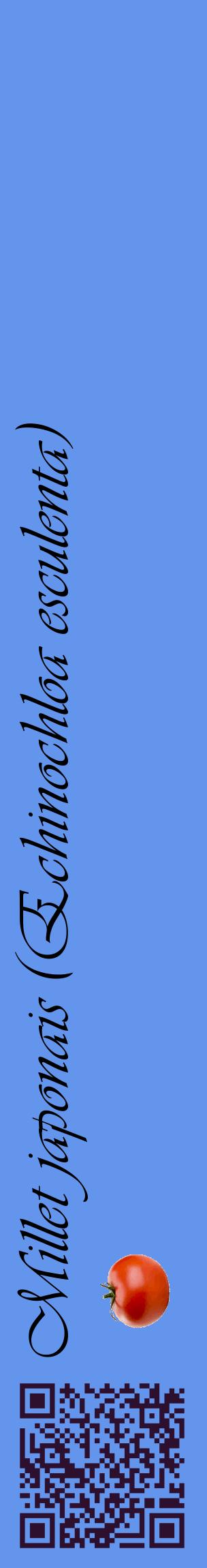 Étiquette de : Echinochloa esculenta - format c - style noire4_basiqueviv avec qrcode et comestibilité simplifiée