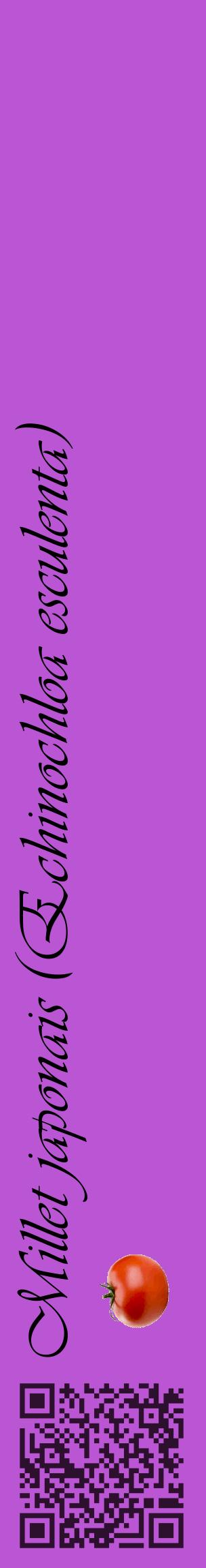 Étiquette de : Echinochloa esculenta - format c - style noire50_basiqueviv avec qrcode et comestibilité simplifiée