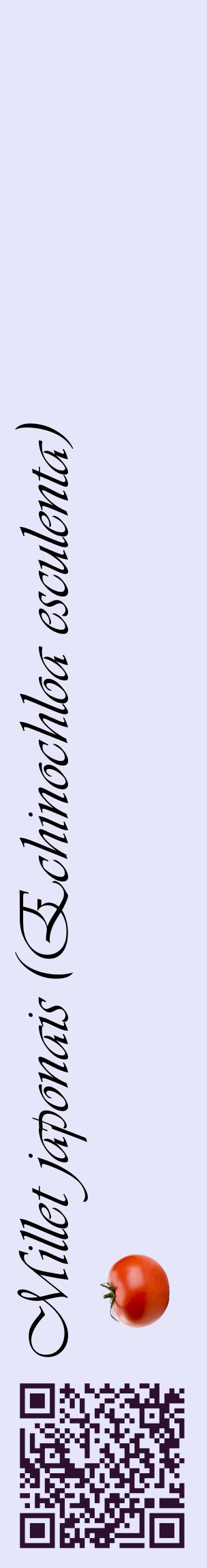 Étiquette de : Echinochloa esculenta - format c - style noire55_basiqueviv avec qrcode et comestibilité simplifiée