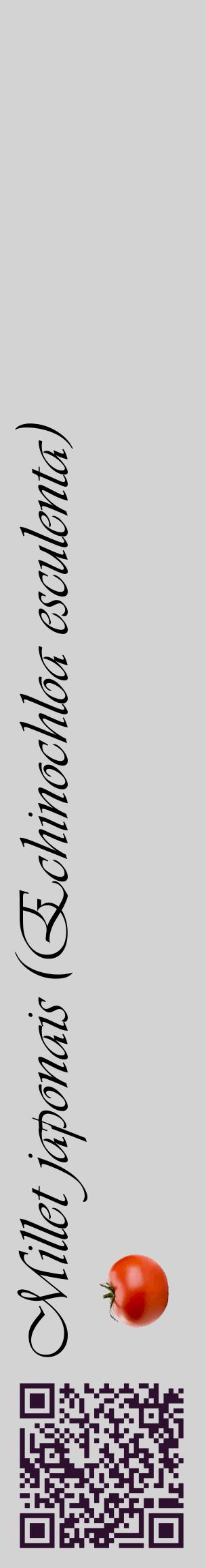 Étiquette de : Echinochloa esculenta - format c - style noire56_basiqueviv avec qrcode et comestibilité simplifiée