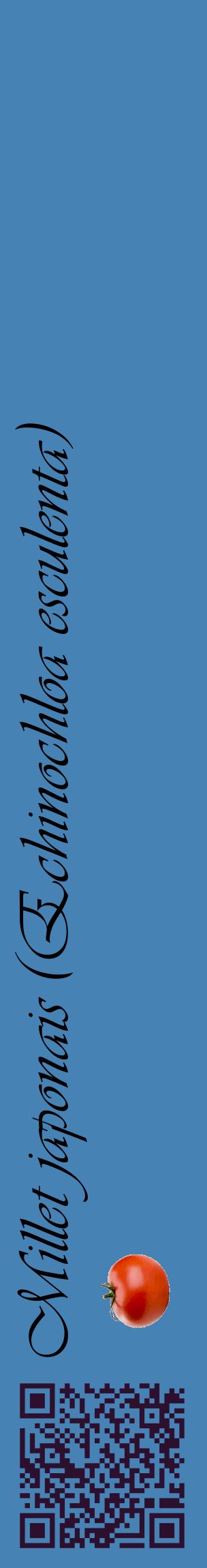 Étiquette de : Echinochloa esculenta - format c - style noire5_basiqueviv avec qrcode et comestibilité simplifiée