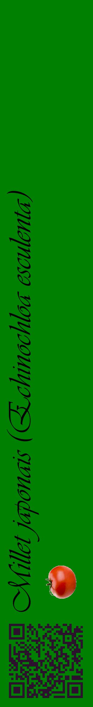 Étiquette de : Echinochloa esculenta - format c - style noire9_basiqueviv avec qrcode et comestibilité simplifiée