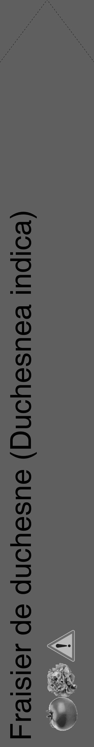 Étiquette de : Duchesnea indica - format c - style noire10_simple_simplehel avec comestibilité simplifiée - position verticale