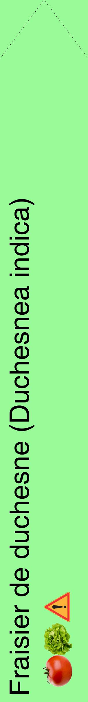 Étiquette de : Duchesnea indica - format c - style noire14_simplehel avec comestibilité simplifiée