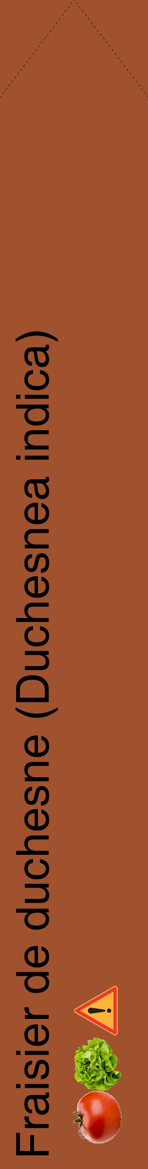 Étiquette de : Duchesnea indica - format c - style noire32_simplehel avec comestibilité simplifiée