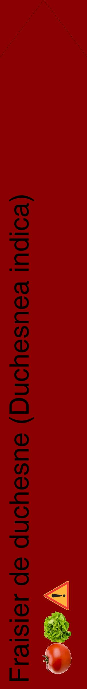 Étiquette de : Duchesnea indica - format c - style noire34_simplehel avec comestibilité simplifiée
