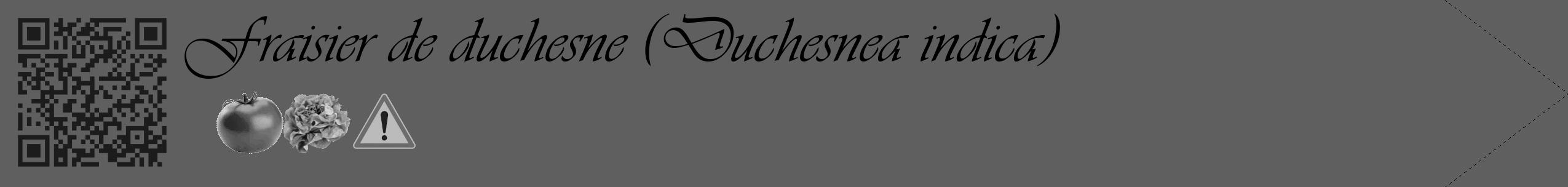 Étiquette de : Duchesnea indica - format c - style noire10_simple_simpleviv avec qrcode et comestibilité simplifiée