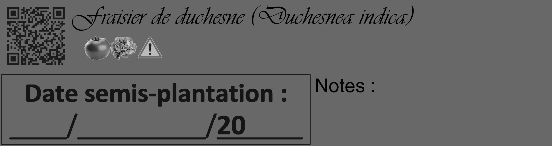 Étiquette de : Duchesnea indica - format c - style noire43_basique_basiqueviv avec qrcode et comestibilité simplifiée