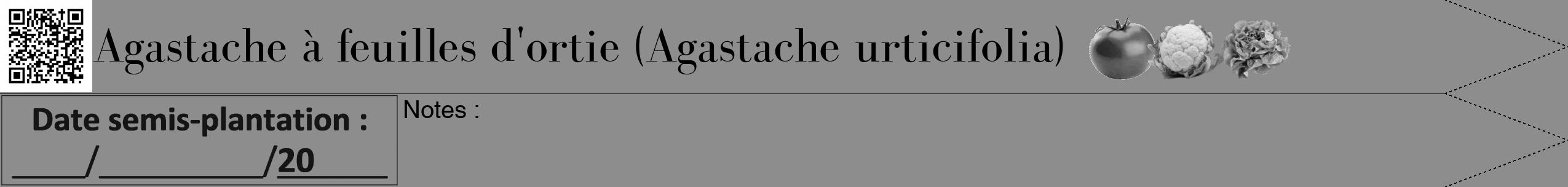Étiquette de : Agastache urticifolia - format b - style noire2bod avec qrcode et comestibilité simplifiée