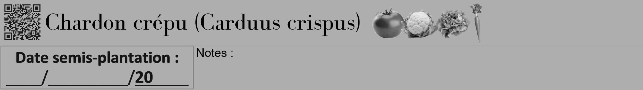 Étiquette de : Carduus crispus - format a - style noire53bod avec qrcode et comestibilité simplifiée