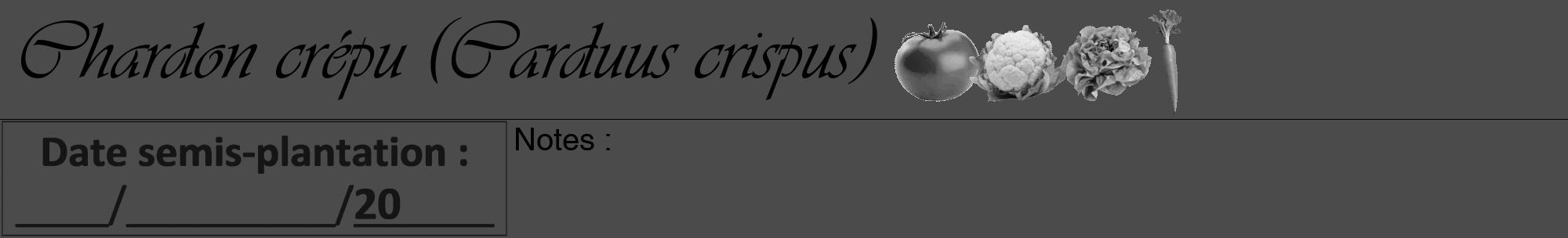Étiquette de : Carduus crispus - format a - style noire9viv avec comestibilité simplifiée