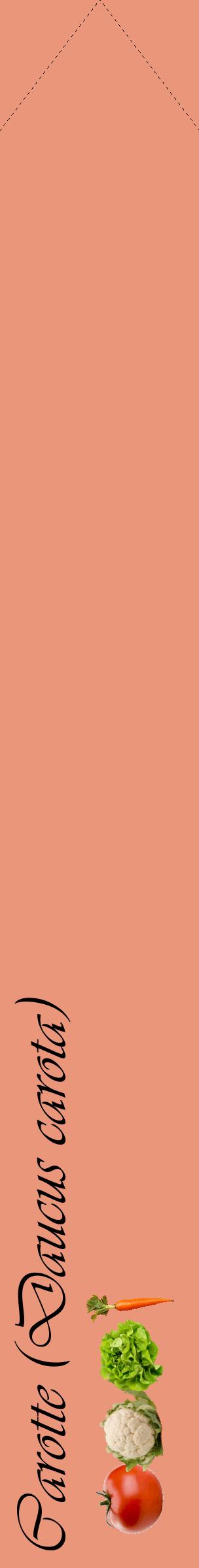 Étiquette de : Daucus carota - format c - style noire37_simpleviv avec comestibilité simplifiée