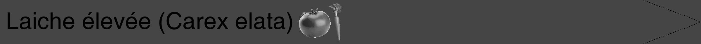 Étiquette de : Carex elata - format b - style noire58hel avec comestibilité simplifiée