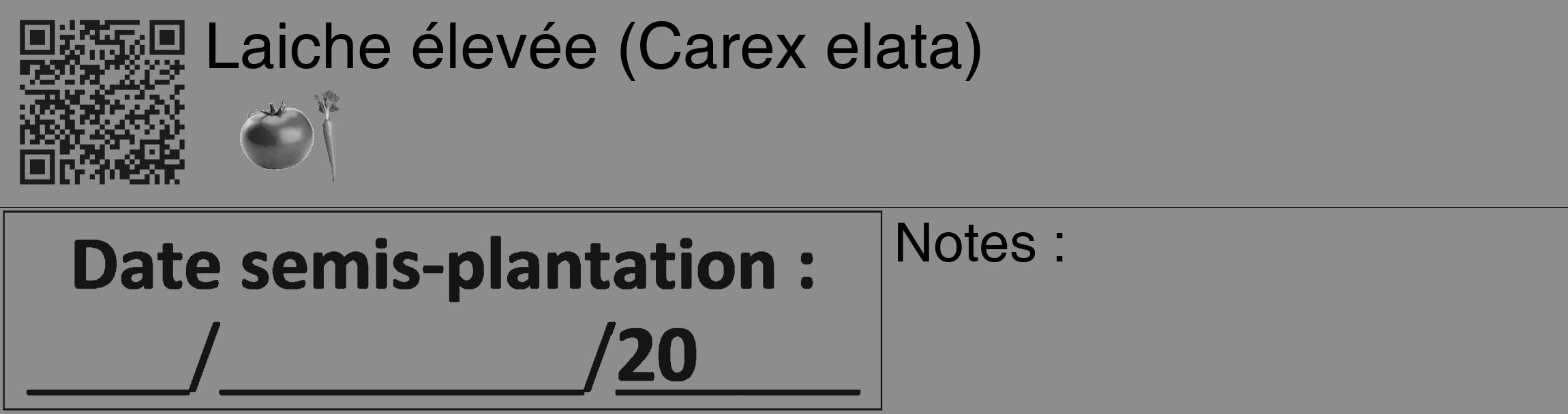 Étiquette de : Carex elata - format c - style noire2_basique_basiquehel avec qrcode et comestibilité simplifiée