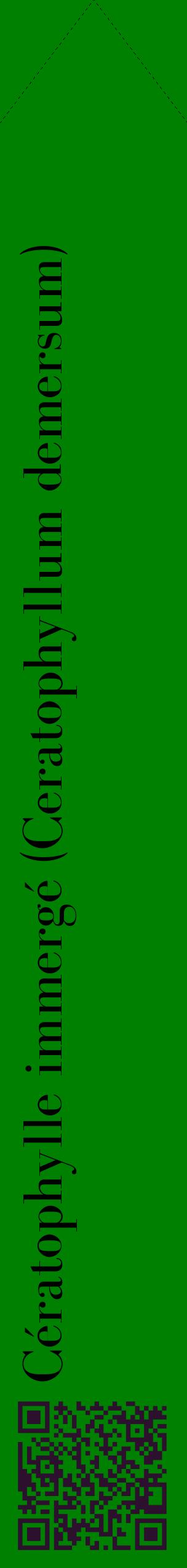 Étiquette de : Ceratophyllum demersum - format c - style noire9_simplebod avec qrcode et comestibilité