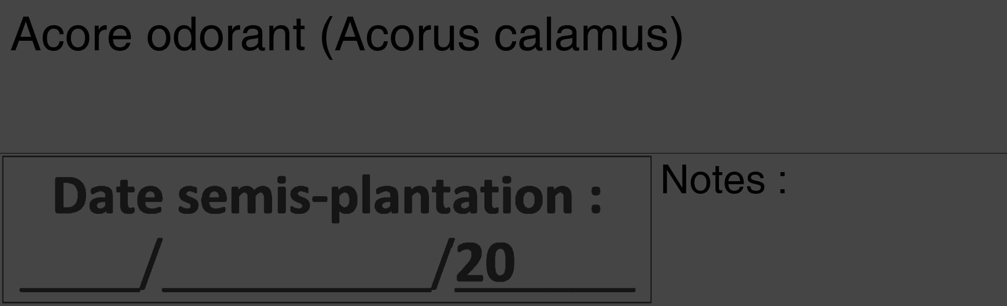 Étiquette de : Acorus calamus - format c - style noire58_basique_basiquehel avec comestibilité