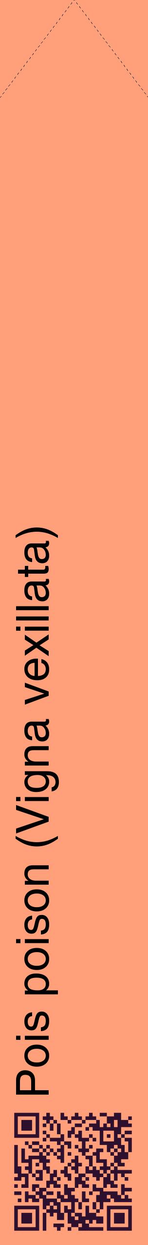 Étiquette de : Vigna vexillata - format c - style noire39_simplehel avec qrcode et comestibilité