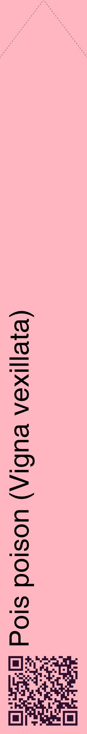 Étiquette de : Vigna vexillata - format c - style noire41_simplehel avec qrcode et comestibilité