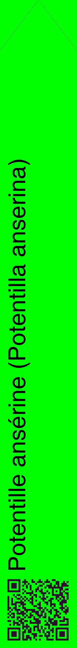 Étiquette de : Potentilla anserina - format c - style noire16_simplehel avec qrcode et comestibilité